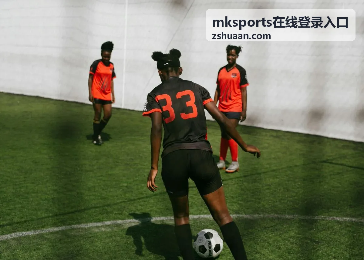 mksports在线登录入口 账号安全与验证步骤示意