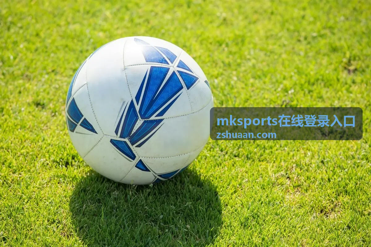 mksports在线登录入口多设备登录记录展示